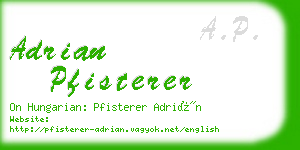 adrian pfisterer business card